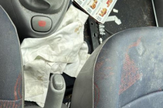 Custode arriere gauche (porte) RENAULT CLIO 2