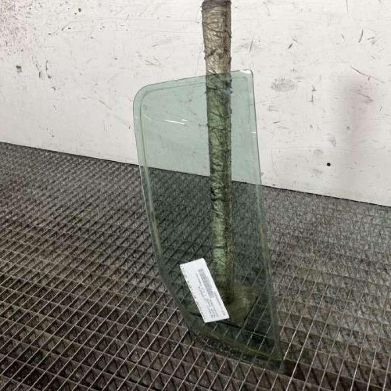 Custode arriere droit (porte) RENAULT MODUS Photo n°3