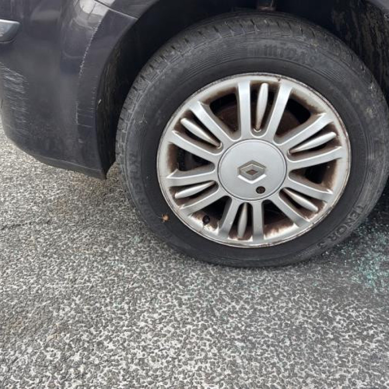 Custode arriere droit (porte) RENAULT MODUS Photo n°13