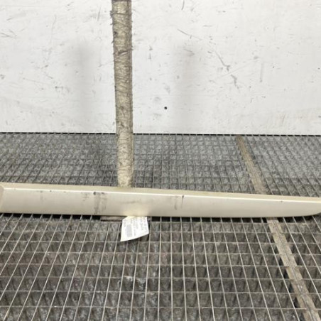 Baguette de porte arriere gauche  RENAULT SCENIC 2 Photo n°1