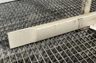 Baguette de porte arriere gauche  RENAULT SCENIC 2