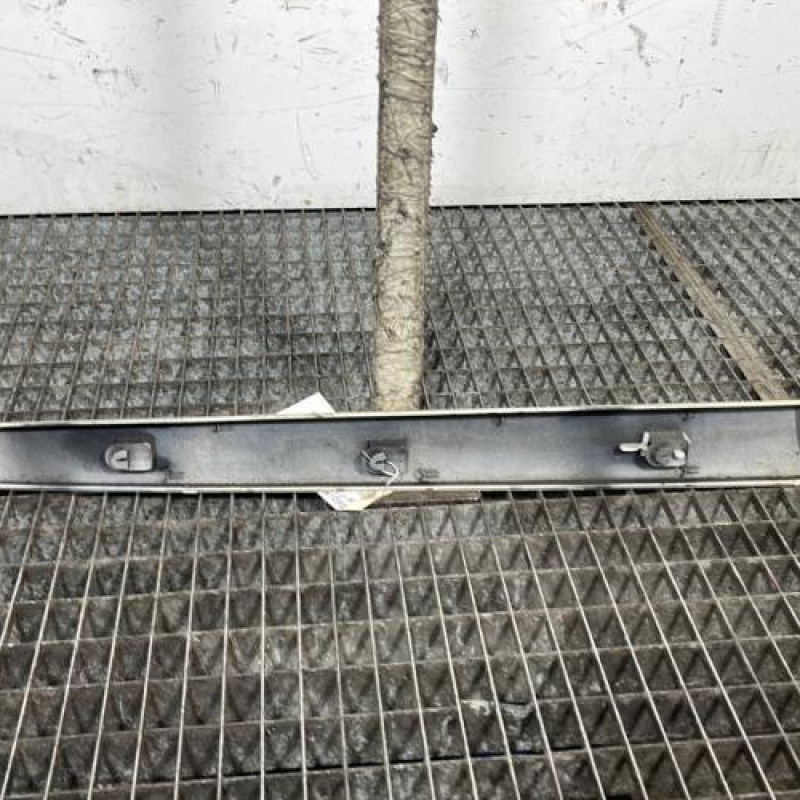 Baguette de porte arriere gauche  RENAULT SCENIC 2 Photo n°4