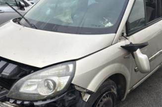 Baguette de porte arriere gauche  RENAULT SCENIC 2