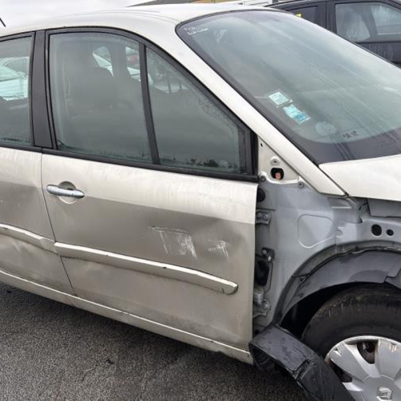 Baguette de porte arriere gauche  RENAULT SCENIC 2 Photo n°11