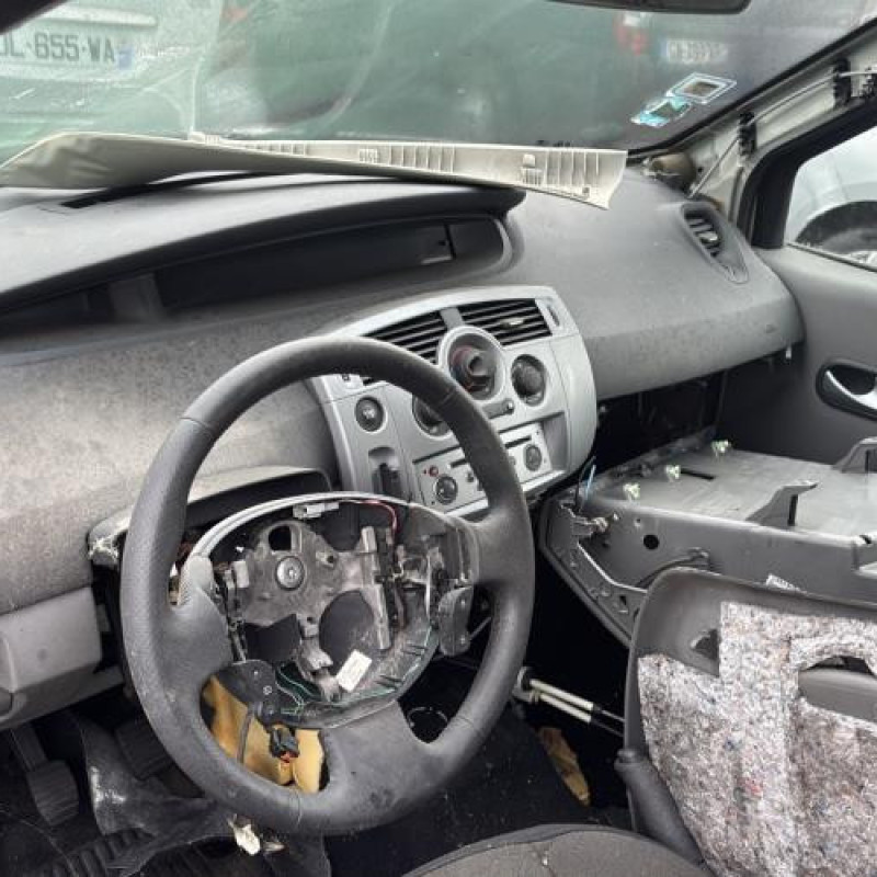 Baguette de porte arriere gauche  RENAULT SCENIC 2 Photo n°16