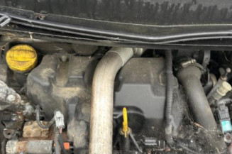 Baguette de porte arriere gauche  RENAULT SCENIC 2