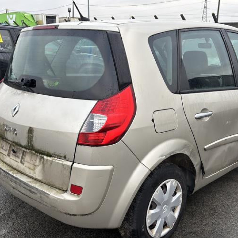 Custode arriere gauche RENAULT SCENIC 2 Photo n°7