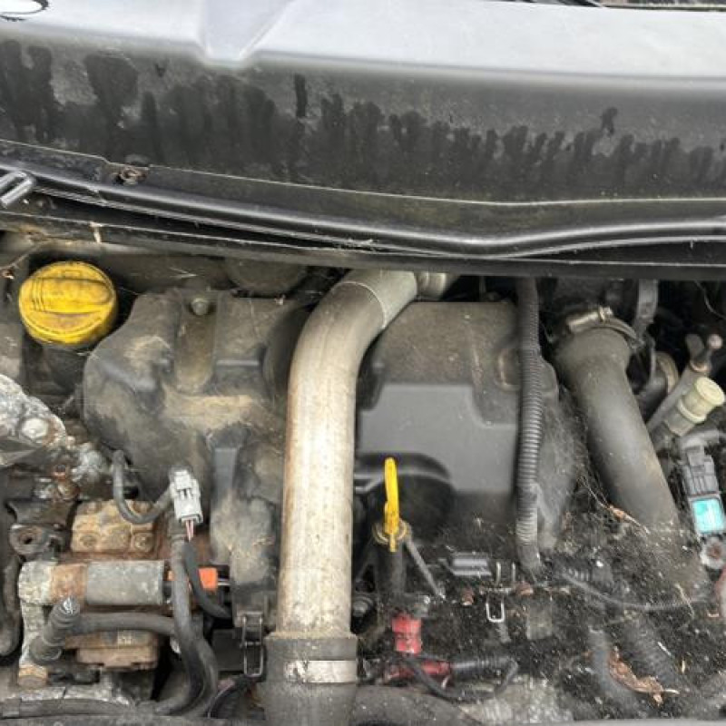 Custode arriere gauche RENAULT SCENIC 2 Photo n°19