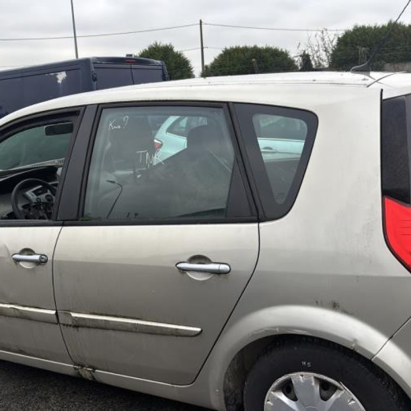 Poignee porte avant gauche RENAULT SCENIC 2 Photo n°10