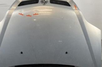 Capot RENAULT SCENIC 1 Photo n°1