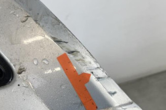 Capot RENAULT SCENIC 1