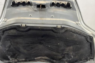 Capot RENAULT SCENIC 1