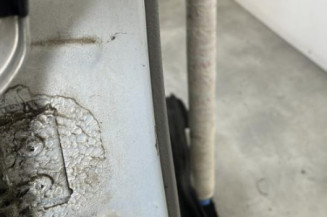 Porte arriere droit RENAULT SCENIC 1