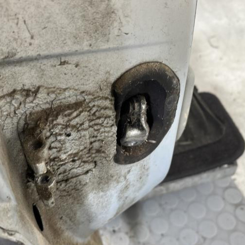 Porte arriere droit RENAULT SCENIC 1 Photo n°6