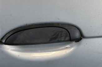 Porte arriere gauche RENAULT SCENIC 1