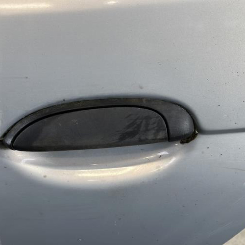 Porte arriere gauche RENAULT SCENIC 1 Photo n°2