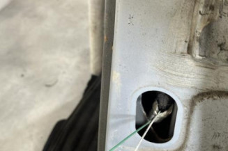 Porte arriere gauche RENAULT SCENIC 1