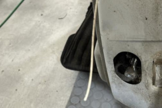 Porte arriere gauche RENAULT SCENIC 1