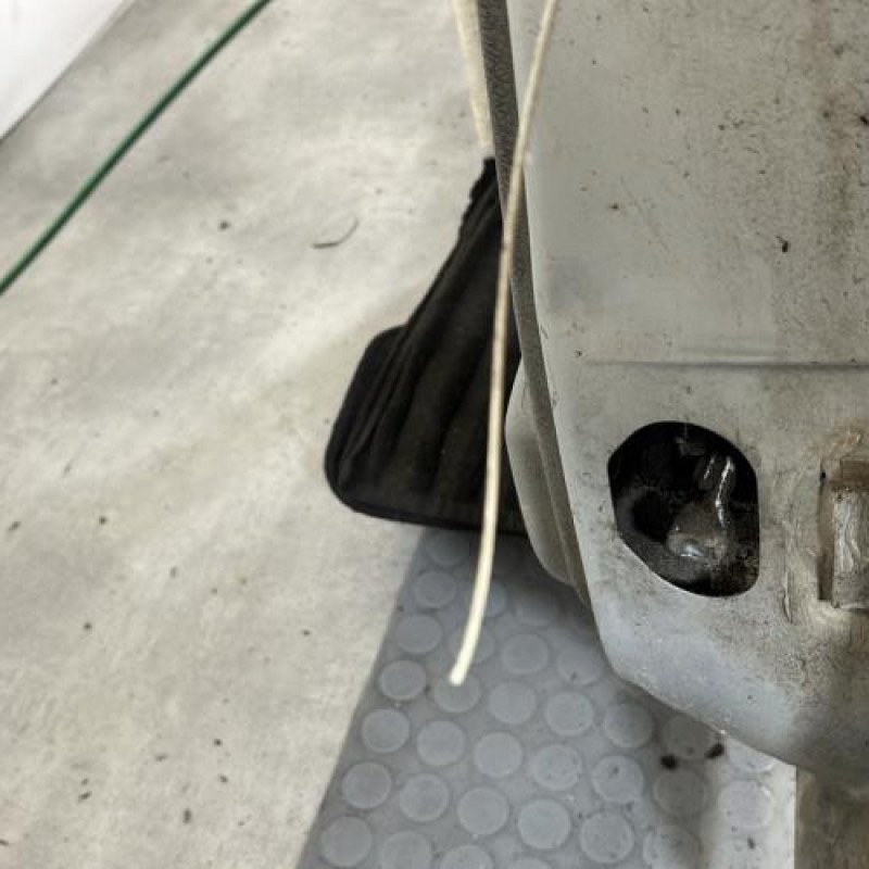 Porte arriere gauche RENAULT SCENIC 1 Photo n°5