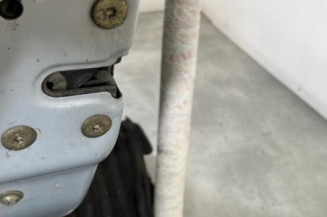 Porte arriere gauche RENAULT SCENIC 1