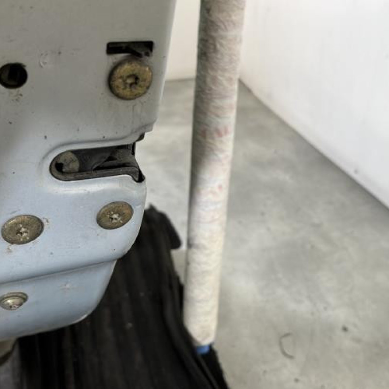 Porte arriere gauche RENAULT SCENIC 1 Photo n°6