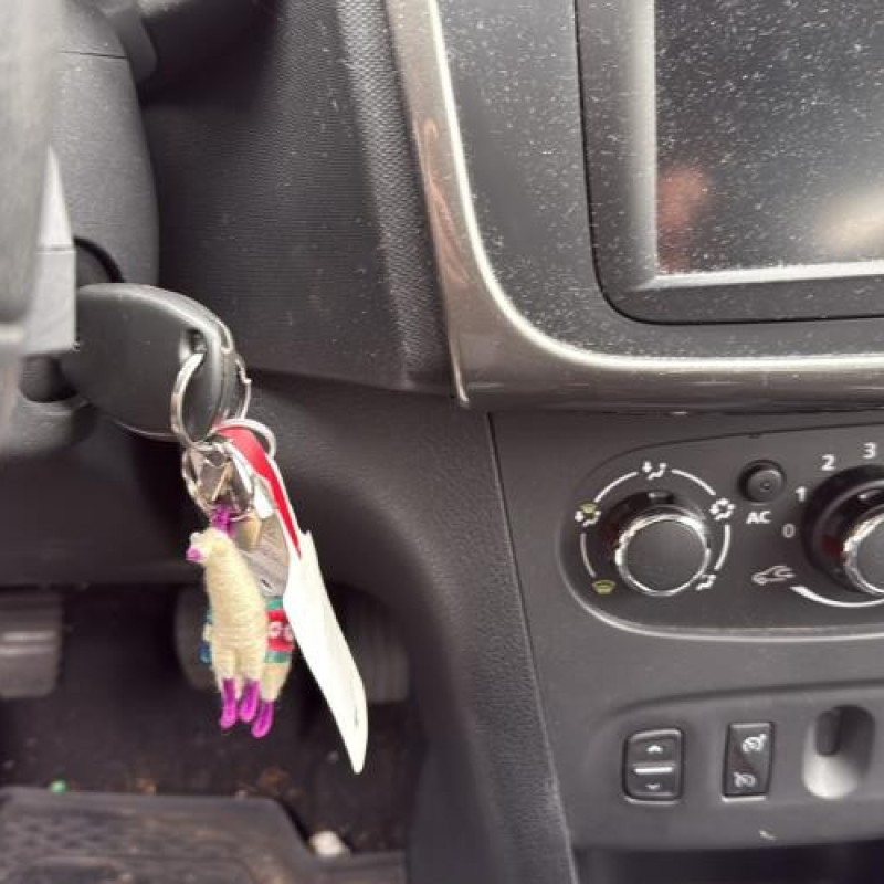 Amortisseur avant gauche DACIA SANDERO 2 Photo n°18