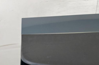 Malle/Hayon arriere FORD C-MAX 1