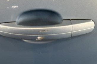 Porte arriere gauche FORD C-MAX 1