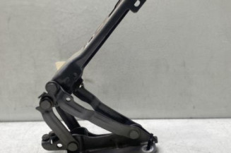 Charniere de capot VOLKSWAGEN GOLF 6 Photo n°1