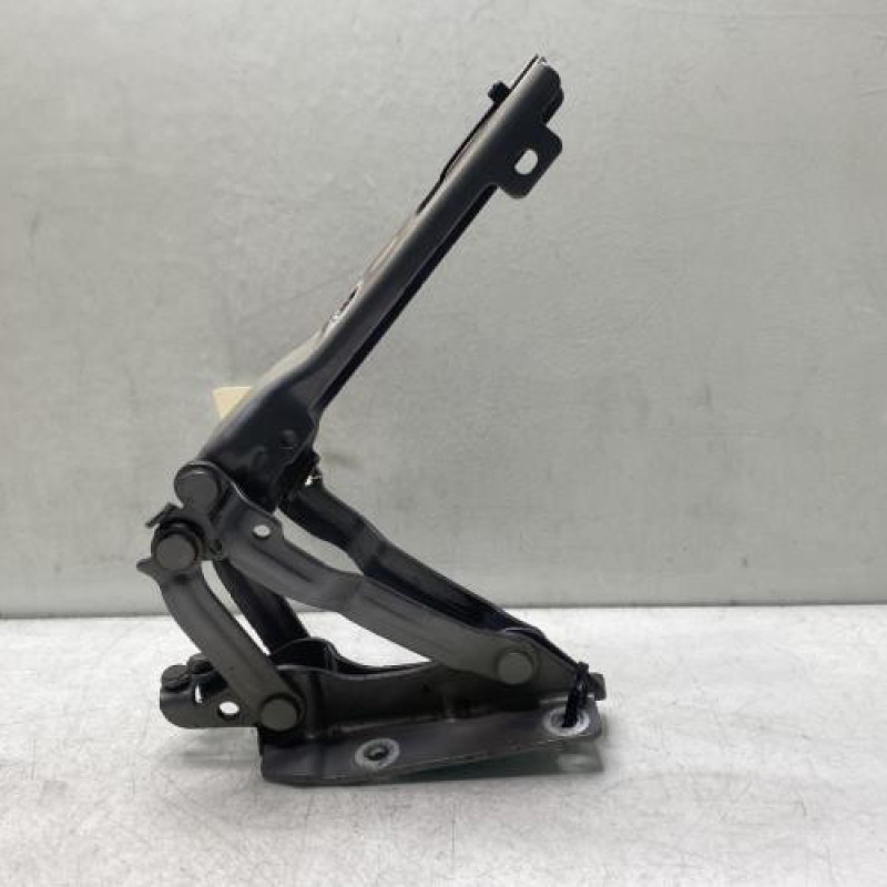 Charniere de capot VOLKSWAGEN GOLF 6 Photo n°1