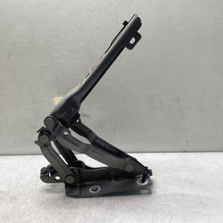 Charniere de capot VOLKSWAGEN GOLF 6 Photo n°1