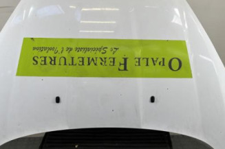 Capot FORD FIESTA 6 Photo n°1