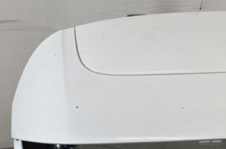 Malle/Hayon arriere FORD FIESTA 6