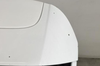 Malle/Hayon arriere FORD FIESTA 6