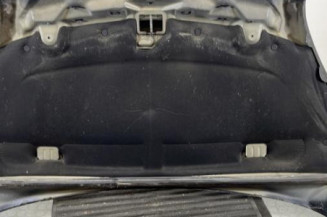 Capot CITROEN XSARA PICASSO