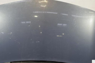 Capot RENAULT MEGANE 2 Photo n°1