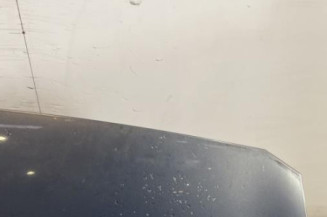 Capot RENAULT MEGANE 2