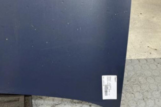 Capot RENAULT MEGANE 2