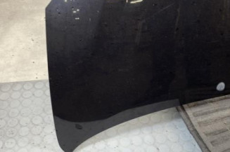 Capot RENAULT TWINGO 2