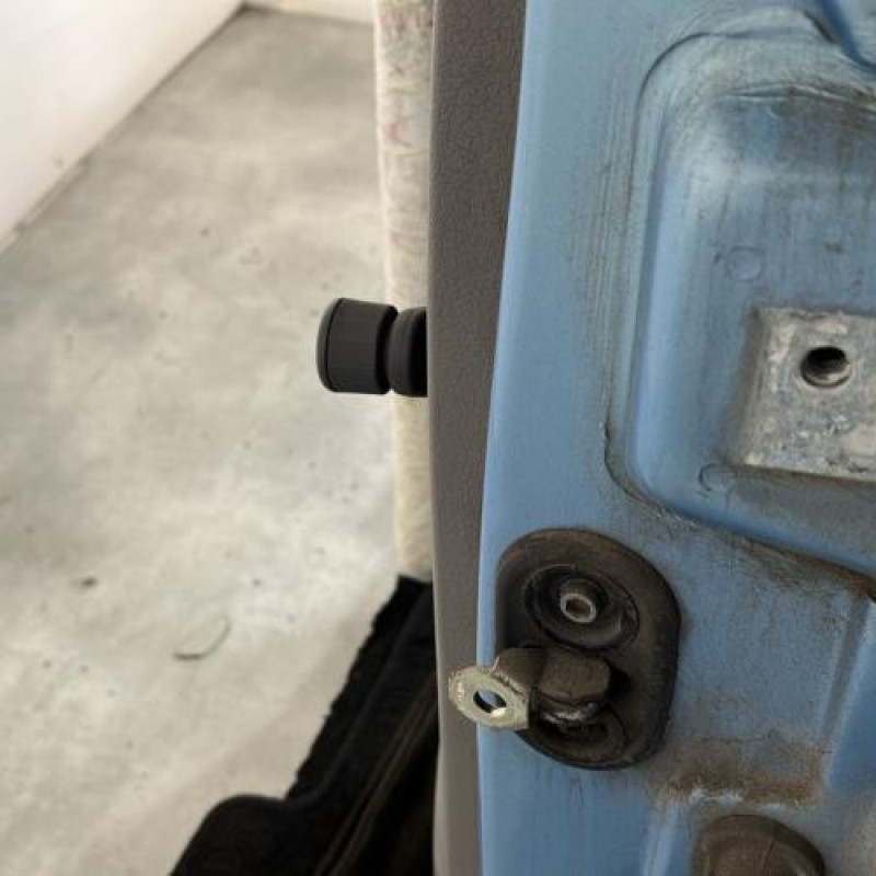 Porte arriere gauche FIAT PANDA 2 Photo n°4