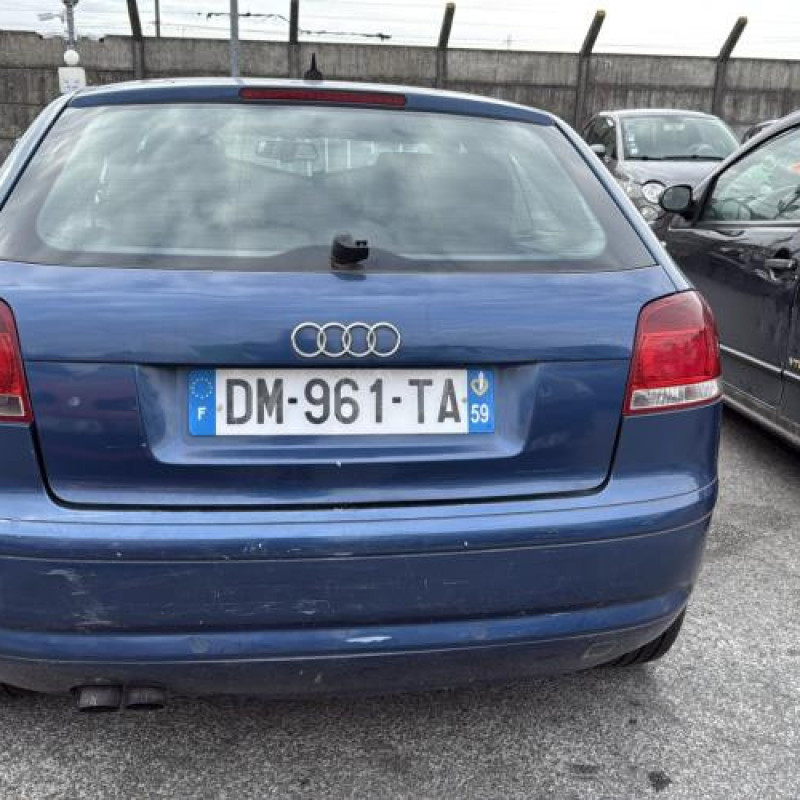 Malle/Hayon arriere AUDI A3 2 Photo n°13