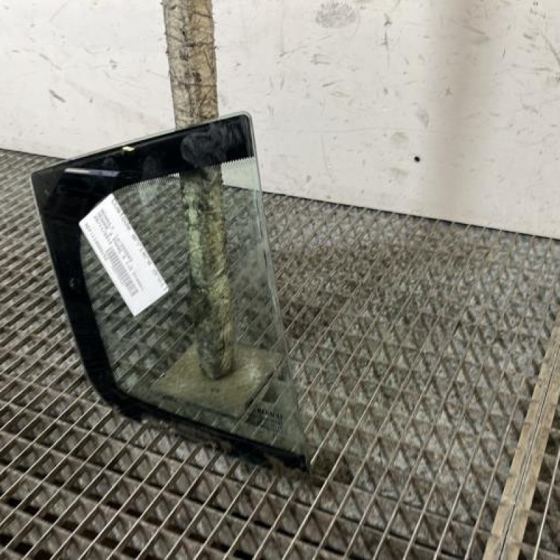 Custode arriere droit (porte) RENAULT MEGANE 3 Photo n°3