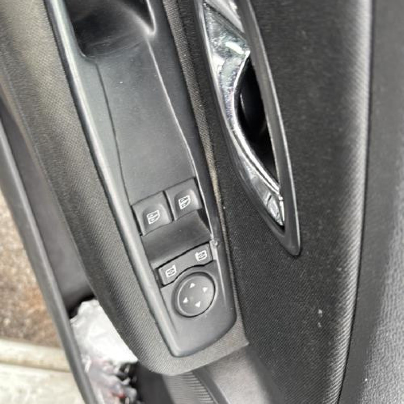 Custode arriere droit (porte) RENAULT MEGANE 3 Photo n°14