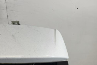 Malle/Hayon arriere RENAULT MEGANE 3