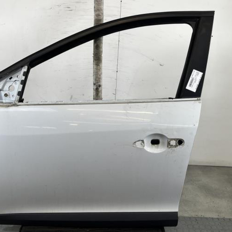 Porte avant gauche RENAULT MEGANE 3 Photo n°1