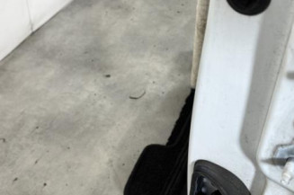 Porte avant gauche RENAULT MEGANE 3