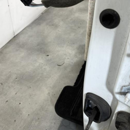 Porte avant gauche RENAULT MEGANE 3