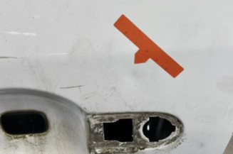 Porte avant gauche RENAULT MEGANE 3