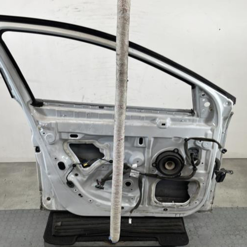 Porte avant gauche RENAULT MEGANE 3 Photo n°5