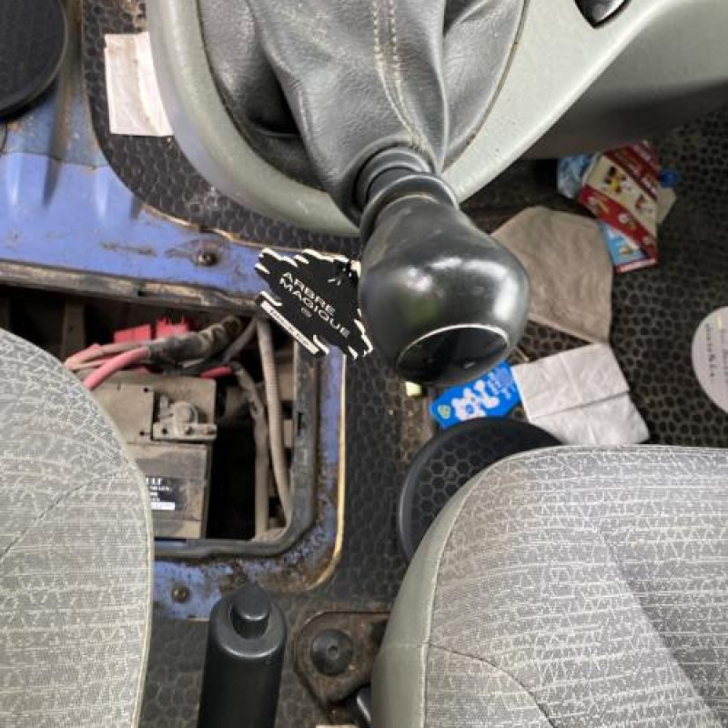 Vitre porte coffre droit RENAULT TRAFIC 2 Photo n°19